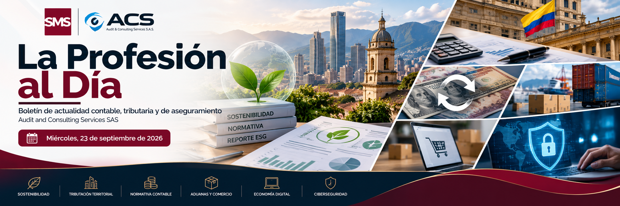La profesión al día – Boletín 11