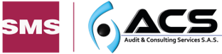 Audit and Consulting Services SAS