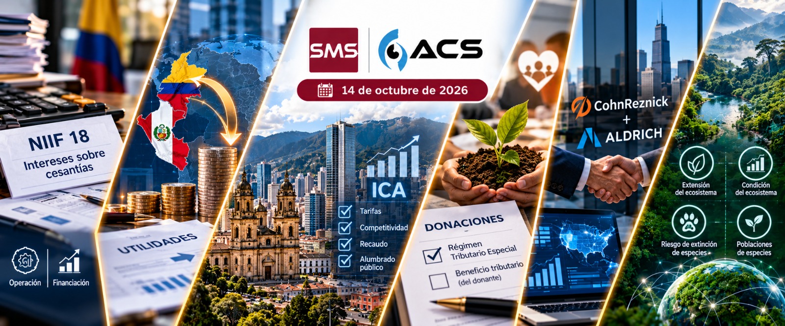 La profesión al día – Boletín 25